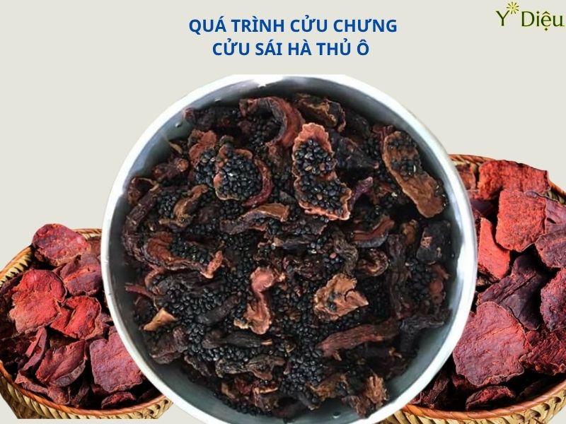 Cửu Chưng Cửu Sái Hà Thủ Ô, Loai Bỏ  Hoàn Toàn Độc Tố
